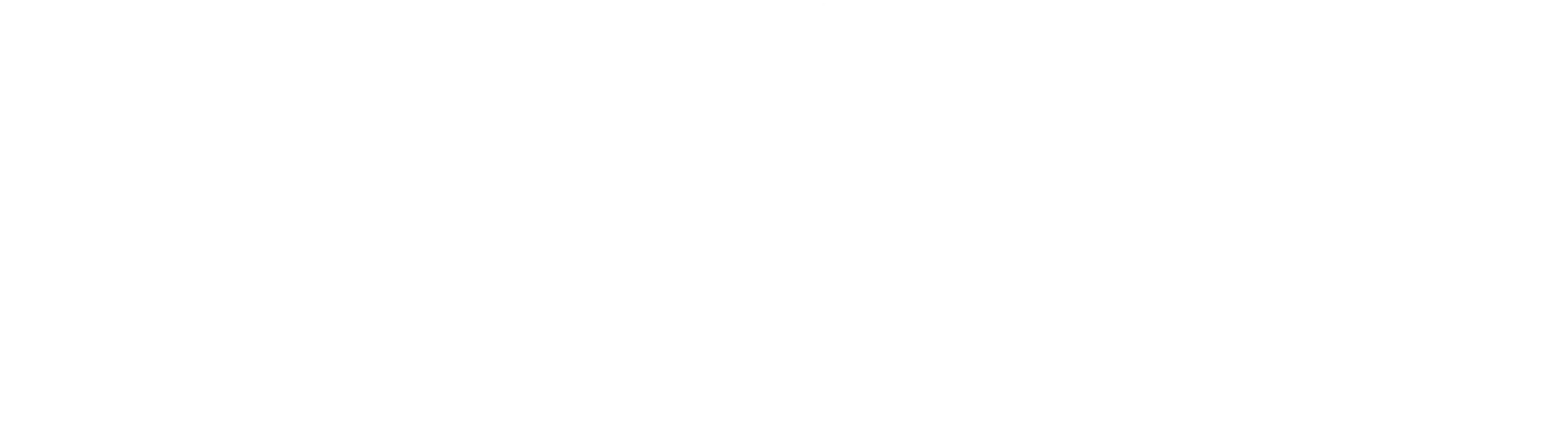 Net TV