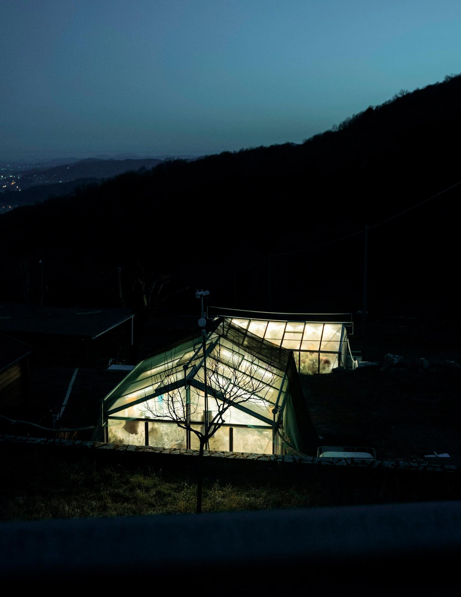 Two illuminated greenhouses glowing at dusk on a hillside