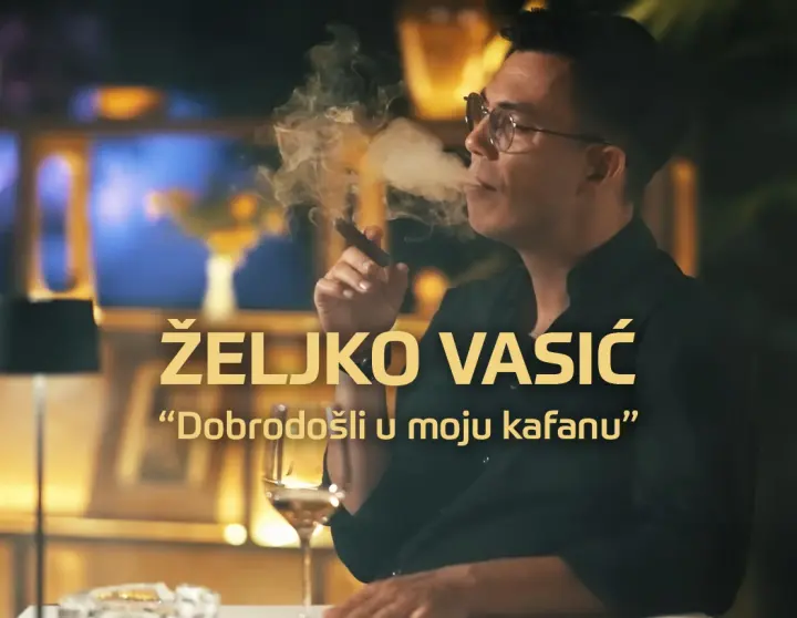 Željko Vasić — Koncert